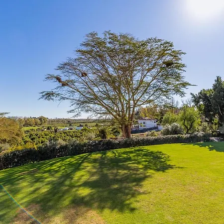 For Rent In Marbella Tatil Evi